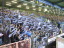 Arminia Bielefeld - VfL Bochum - photo